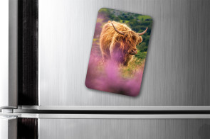 To buy a print or any of the below please click on the images